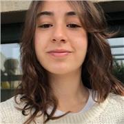 offro lezioni di matematica fino a scuola superiore e materie base fino alle scuola medie